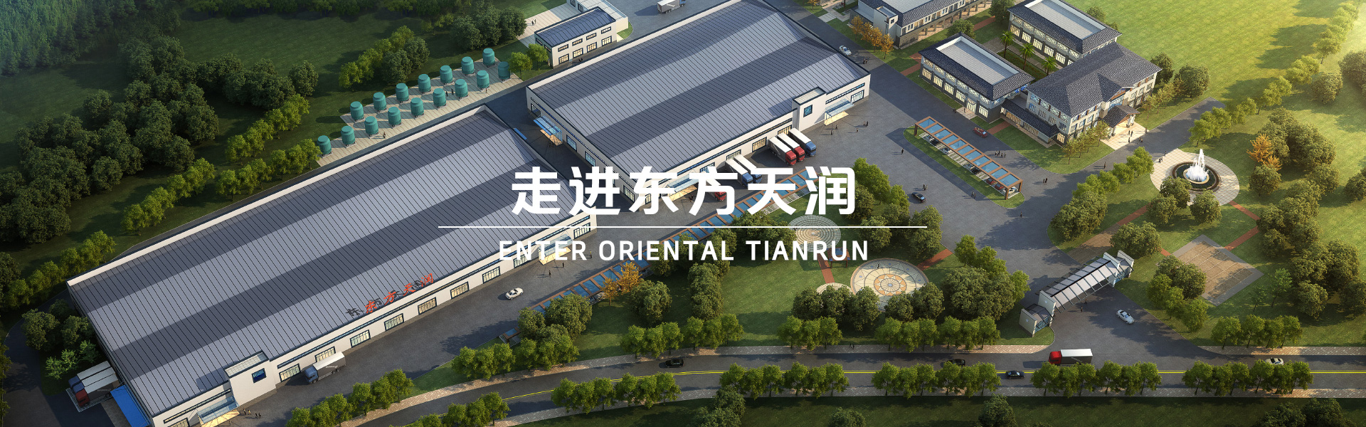 新粮油 · 大未来